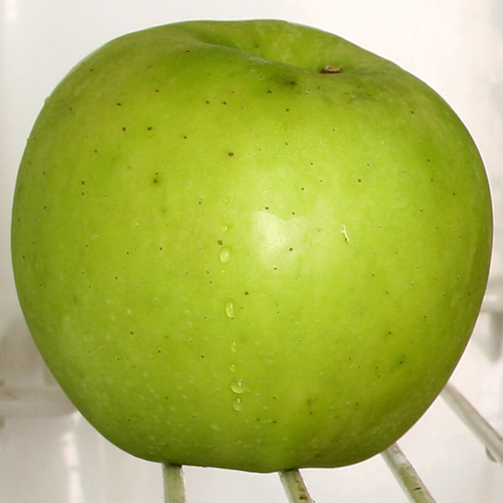 04 스토리지 Storage, archival inkjet print, 15×15cm, 2006