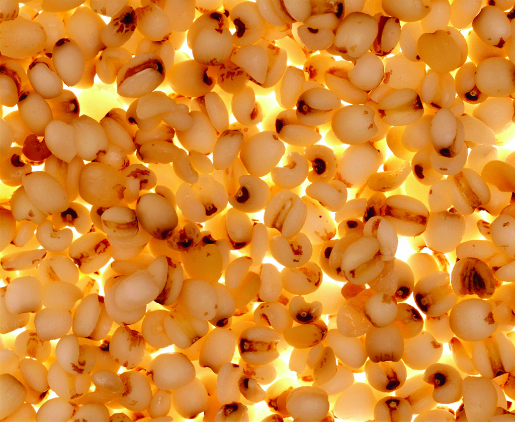 05 부뚜막꽃 Rice in Blossom, archival inkjet print, 90×110cm, 2005