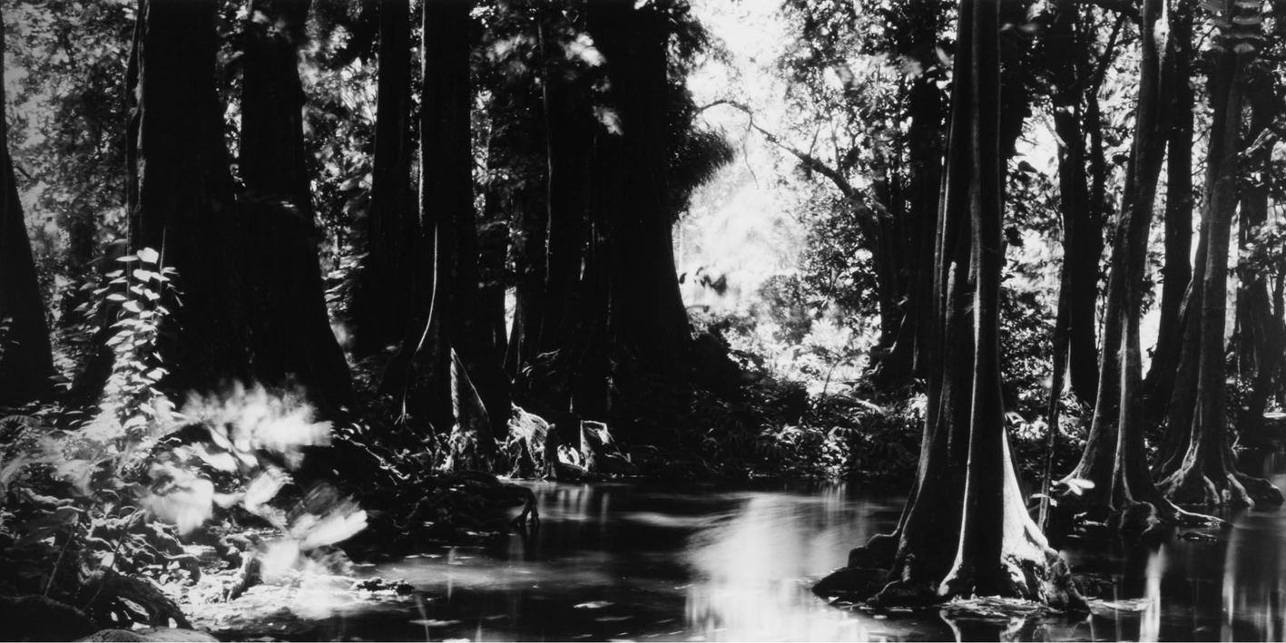 타히티히, 2005 050