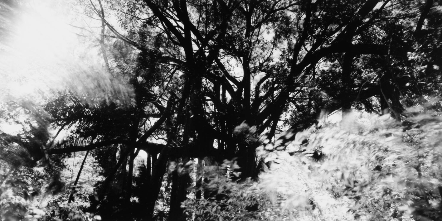 타히티히, 2005 054