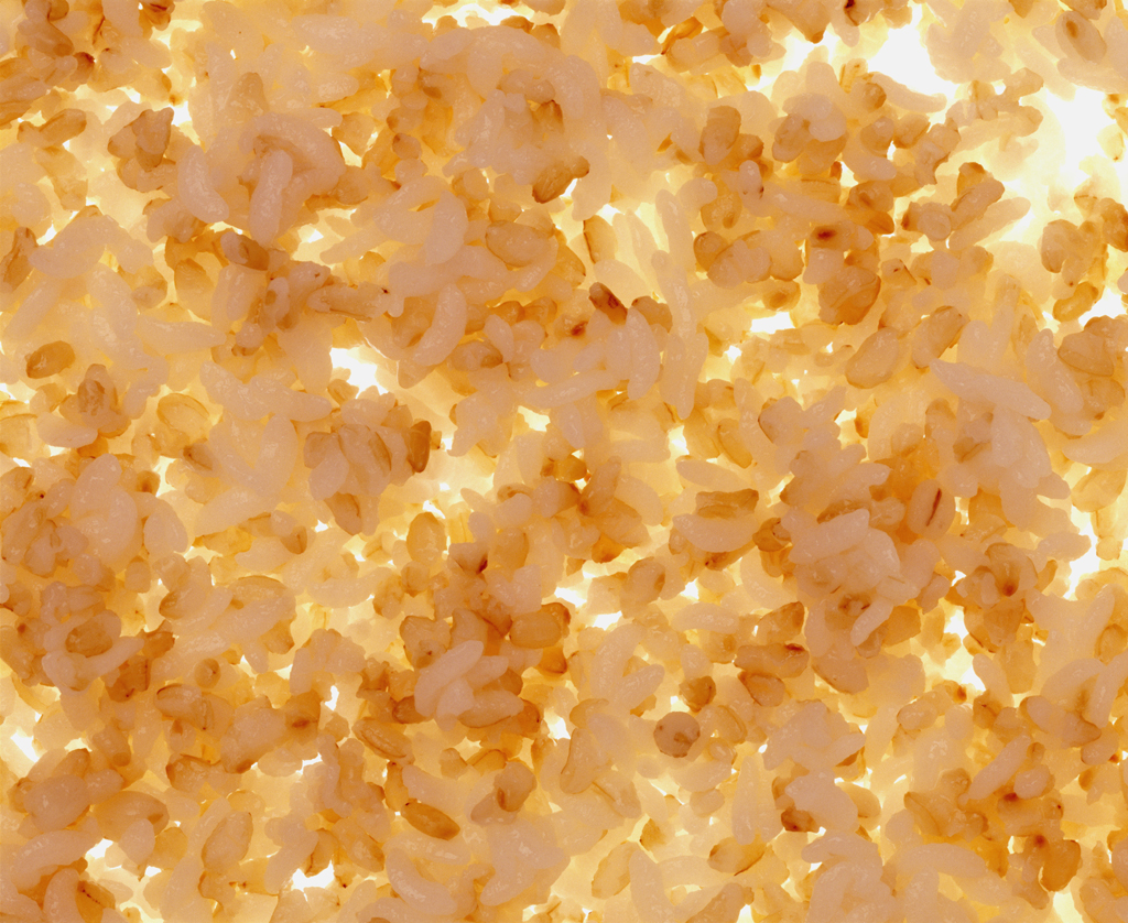 06 부뚜막꽃 Rice in Blossom, archival inkjet print, 90×110cm, 2005