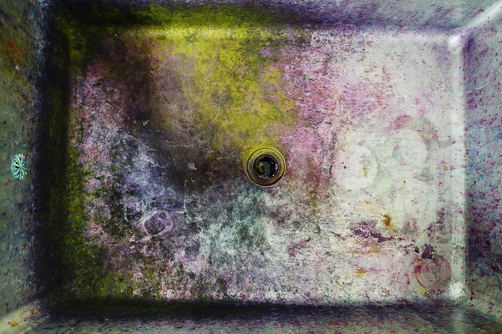 06 Tissue staining Chamber, 2008