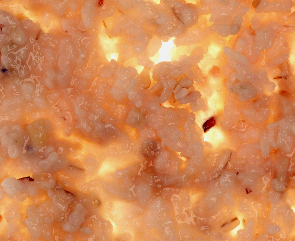 07 부뚜막꽃 Rice in Blossom, archival inkjet print, 90×110cm, 2005