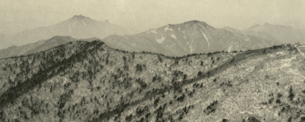 07_2008 Realistic Landscapes_digital print on Korean paper_40x100cm_2008