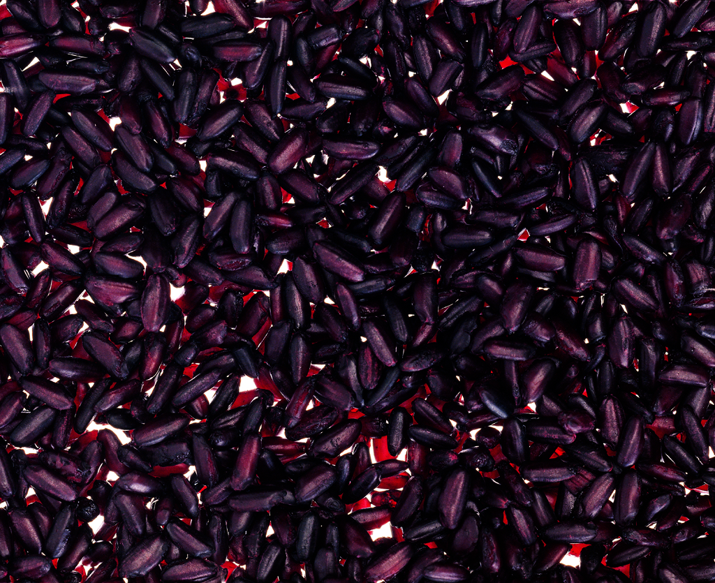 08 부뚜막꽃 Rice in Blossom, archival inkjet print, 90×110cm, 2005