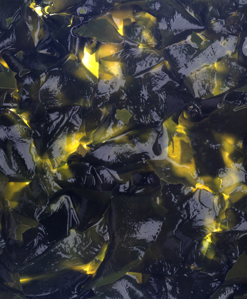 08 Phantasma, archival inkjet print, 76×56cm, 2004