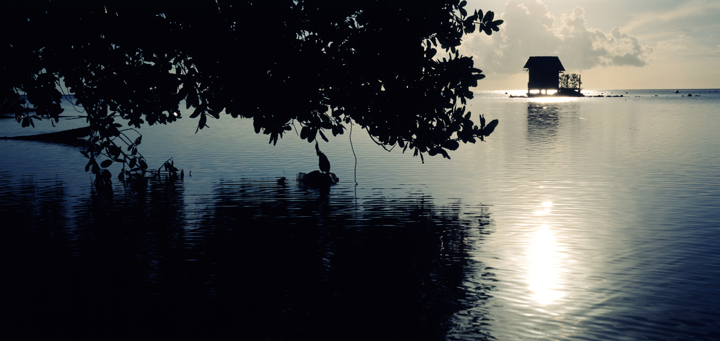 타히티히, 2005 112