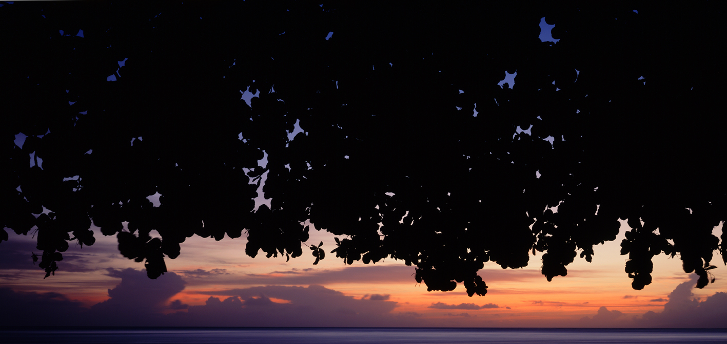 타히티히, 2005 114