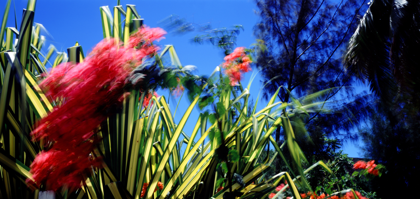 타히티히, 2005 119