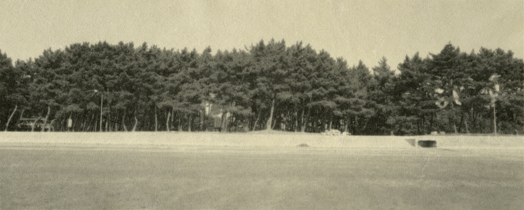 11_Private Landscapes_digital print on Korean paper_40x100cm_2008