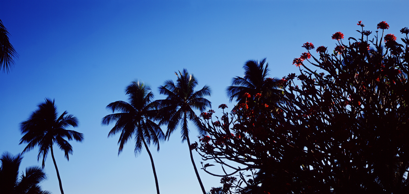 타히티히, 2005 124