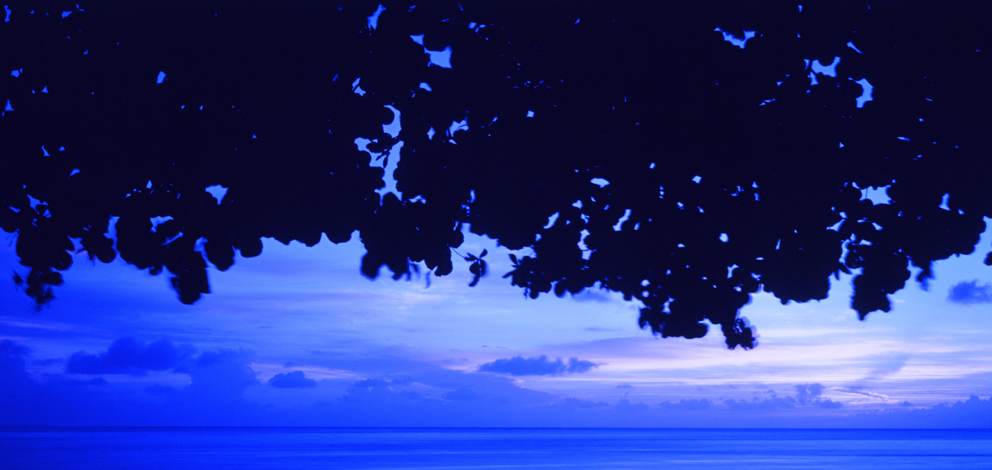 타히티히, 2005 128