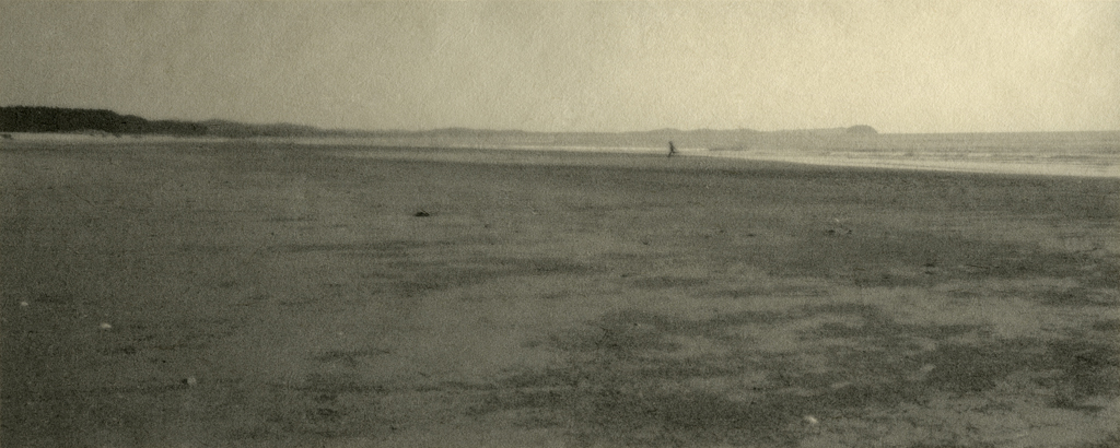 13_Private Landscapes_digital print on Korean paper_40x100cm_2008