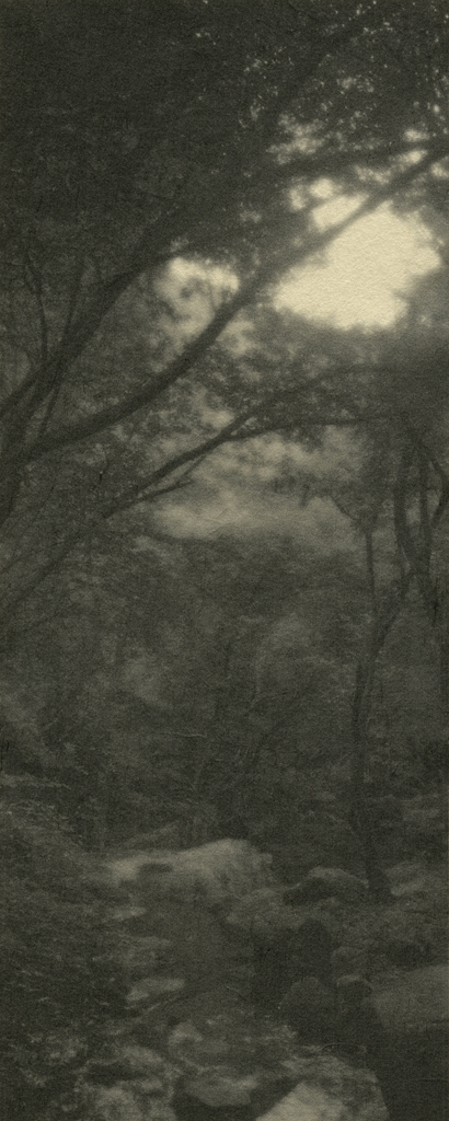 14_Private Landscapes_digital print on Korean paper_100x40cm_2008