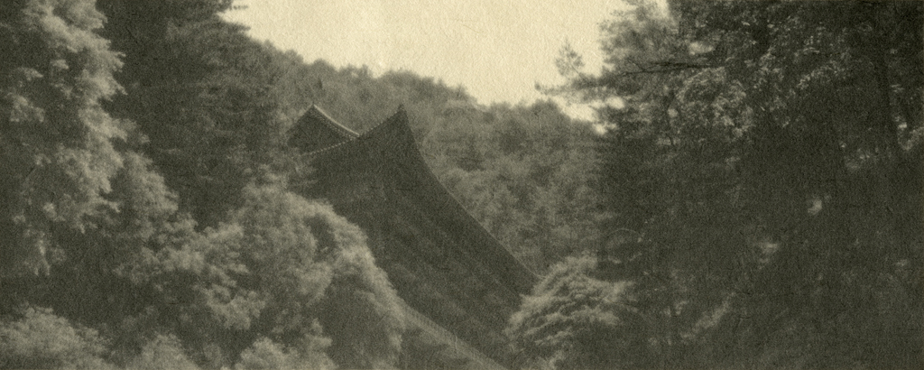 16_Private Landscapes_digital print on Korean paper_40x100cm_2008