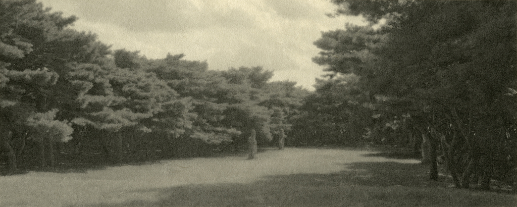 17_Private Landscapes_digital print on Korean paper_40x100cm_2008