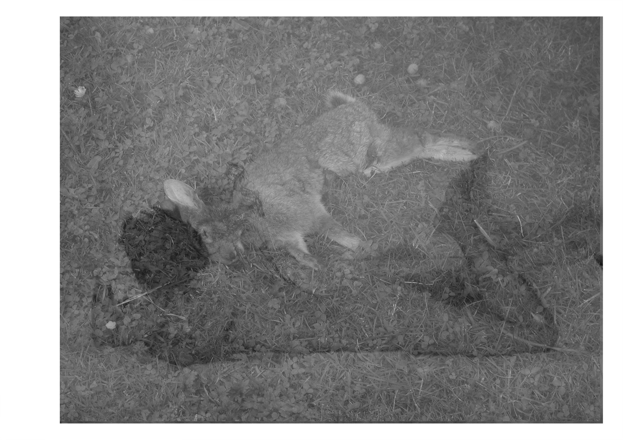 2. I like women like you 2005