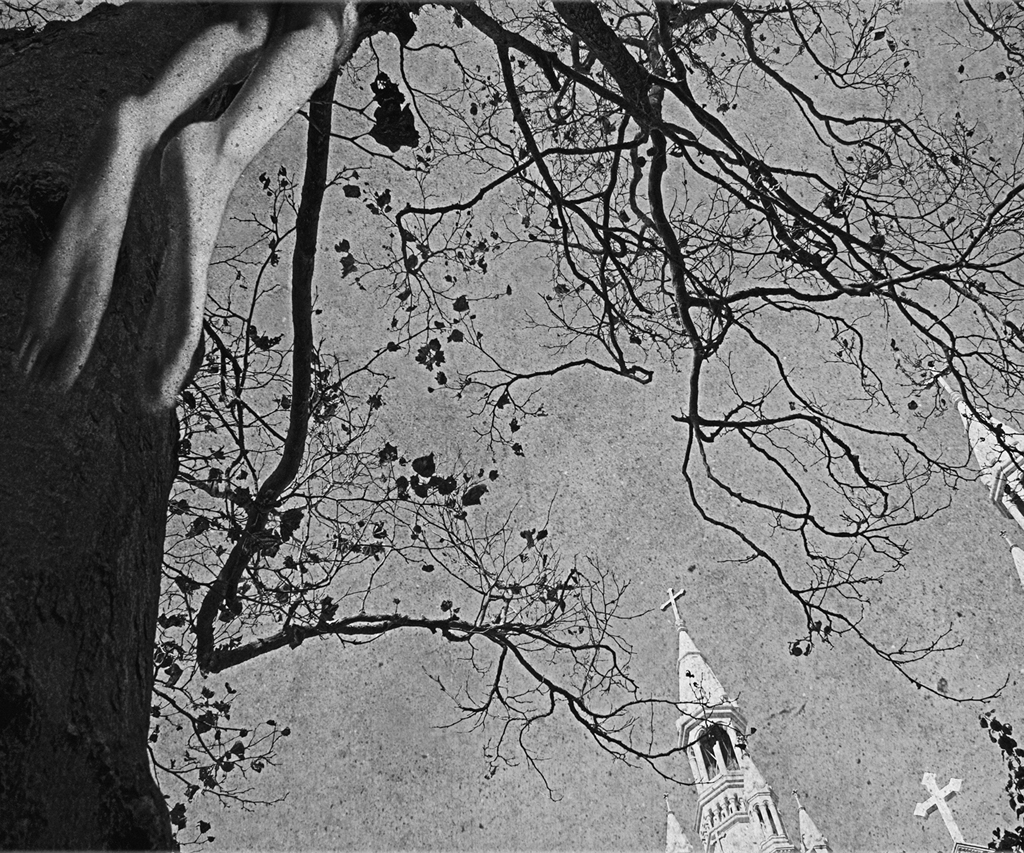 3_김소희_Why_Untitled_2006