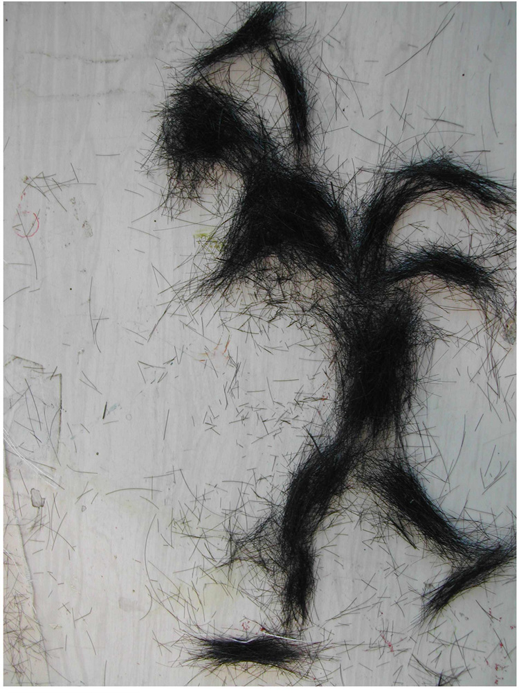 4. I like women like you 2005