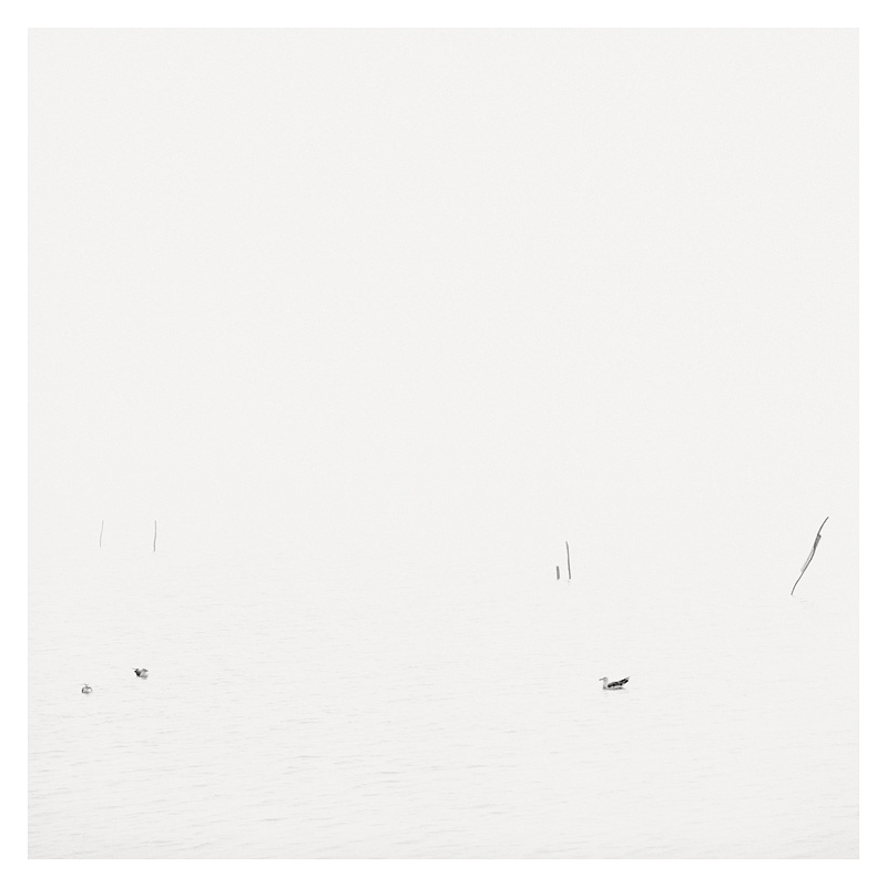 Epiphanie Landscape, 2006-2008 02