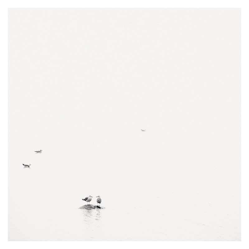 Epiphanie Landscape, 2006-2008 03