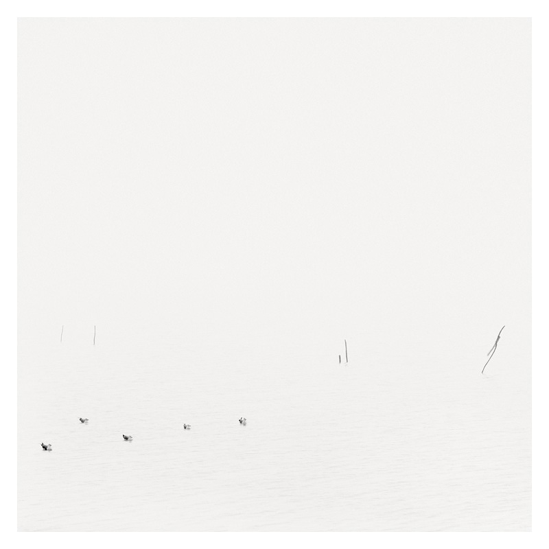 Epiphanie Landscape, 2006-2008 05