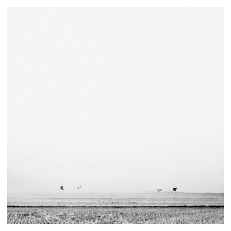 Epiphanie Landscape, 2006-2008 17