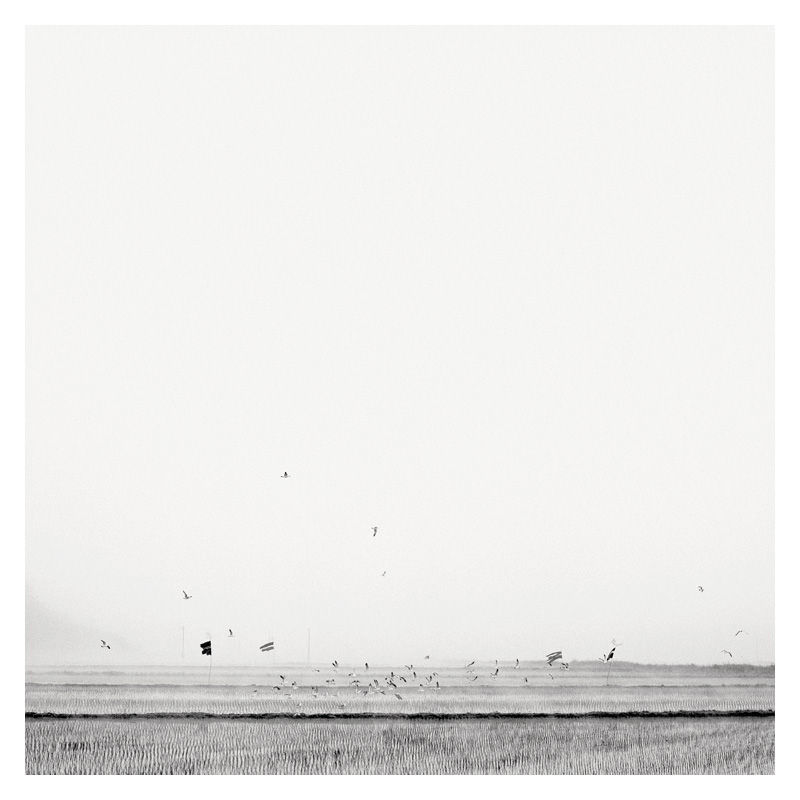 Epiphanie Landscape, 2006-2008 18