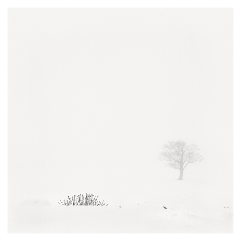 Epiphanie Landscape, 2006-2008 23