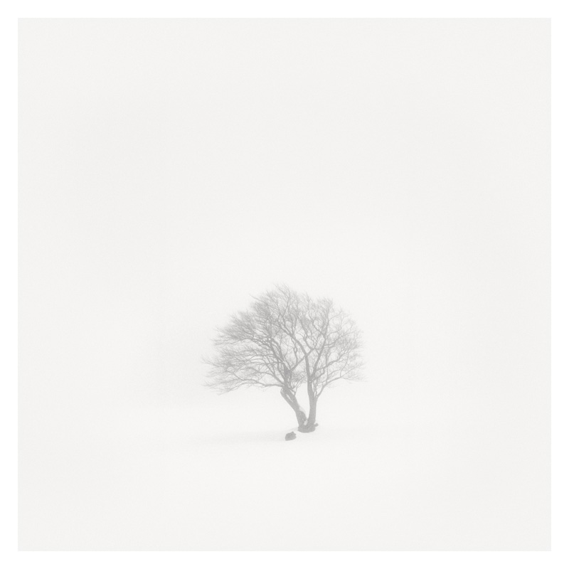 Epiphanie Landscape, 2006-2008 24