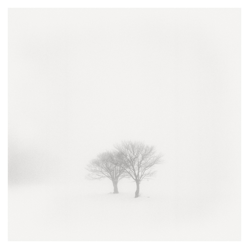 Epiphanie Landscape, 2006-2008 25