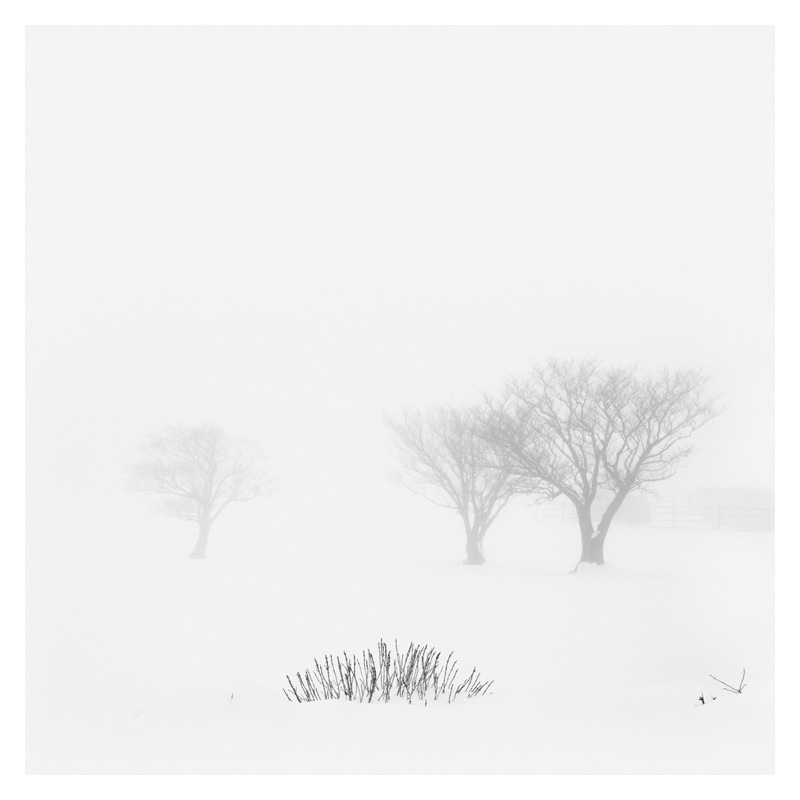 Epiphanie Landscape, 2006-2008 26