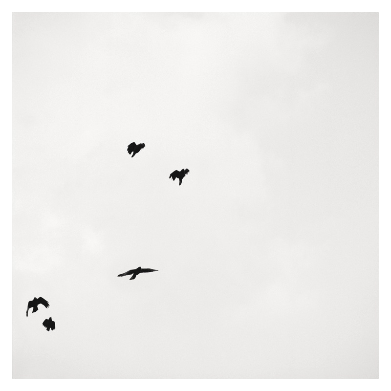 Epiphanie Landscape, 2006-2008 28