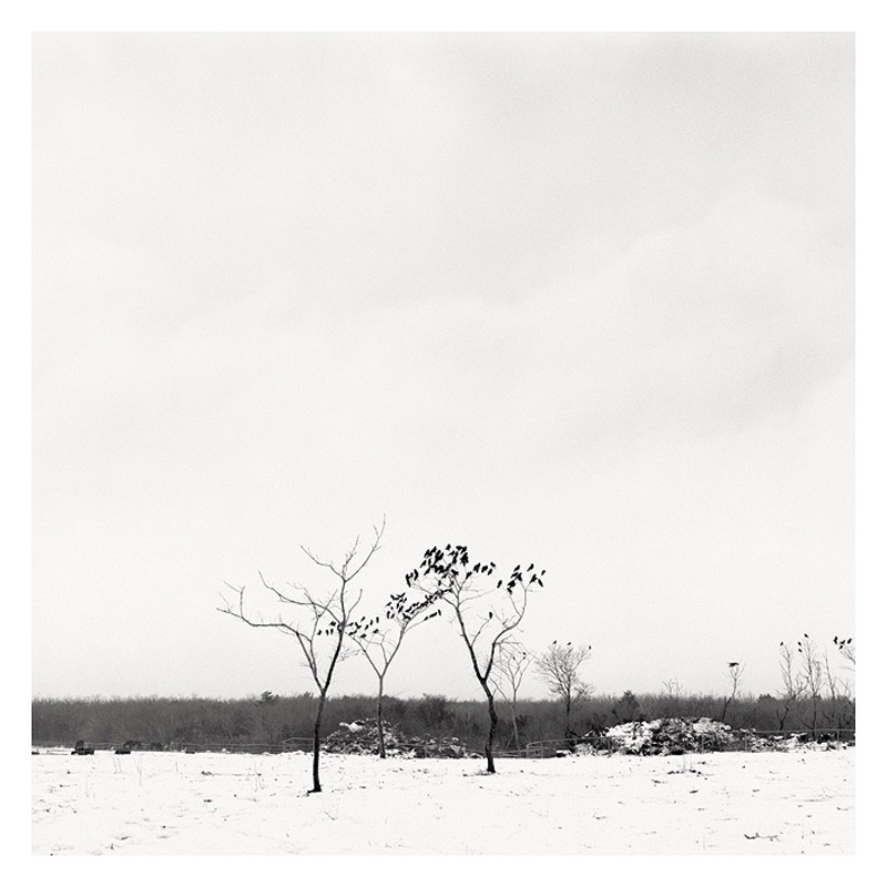 Epiphanie Landscape, 2006-2008 29