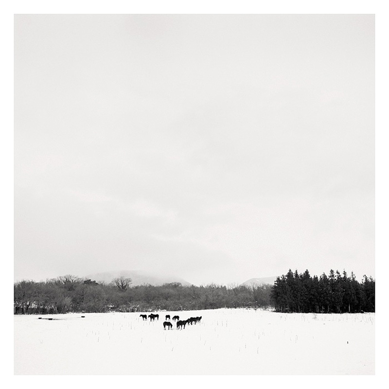 Epiphanie Landscape, 2006-2008 30