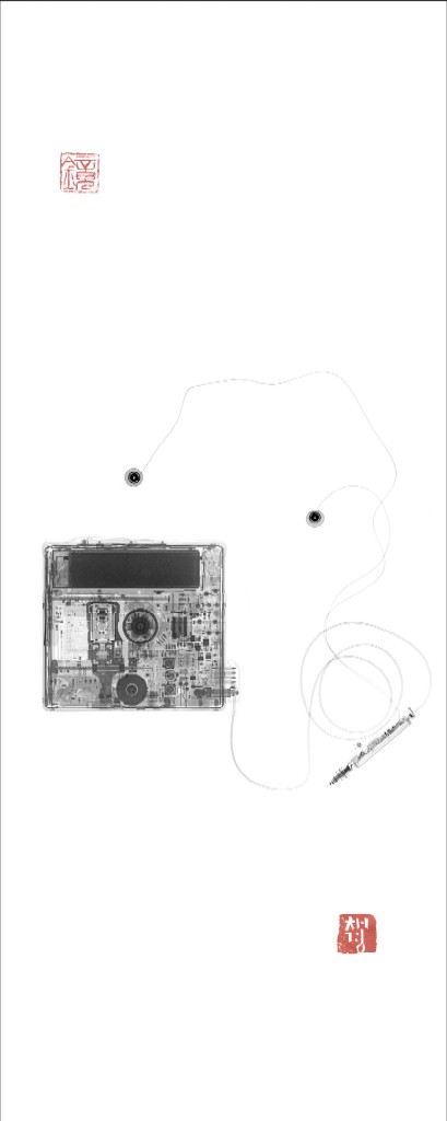 MD_digital print on Korean paper_40X100cm_2007