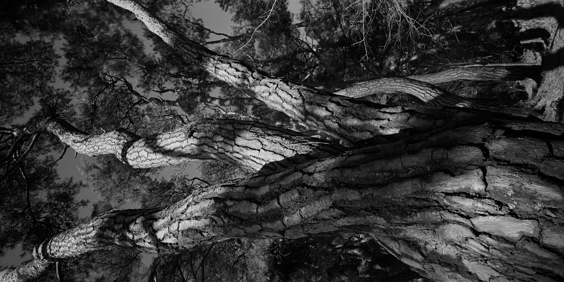 SNM1A-140V_5104292_210208