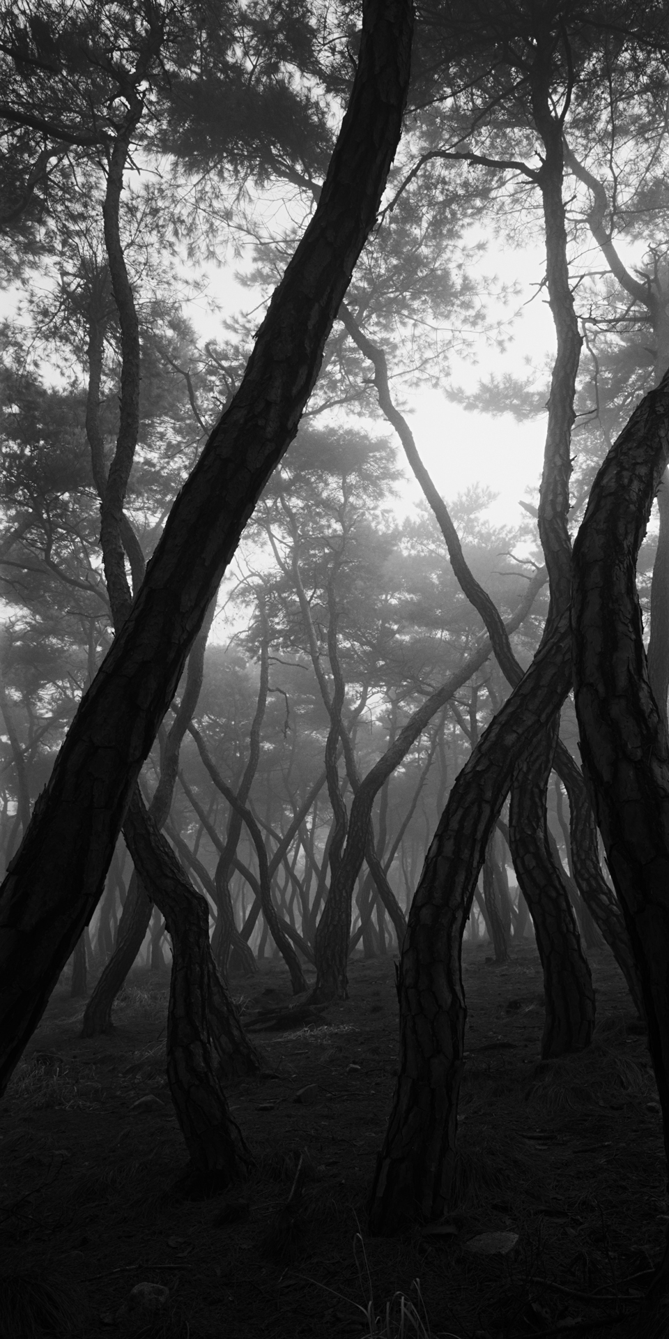 SNM1A-141V_5104292_150208