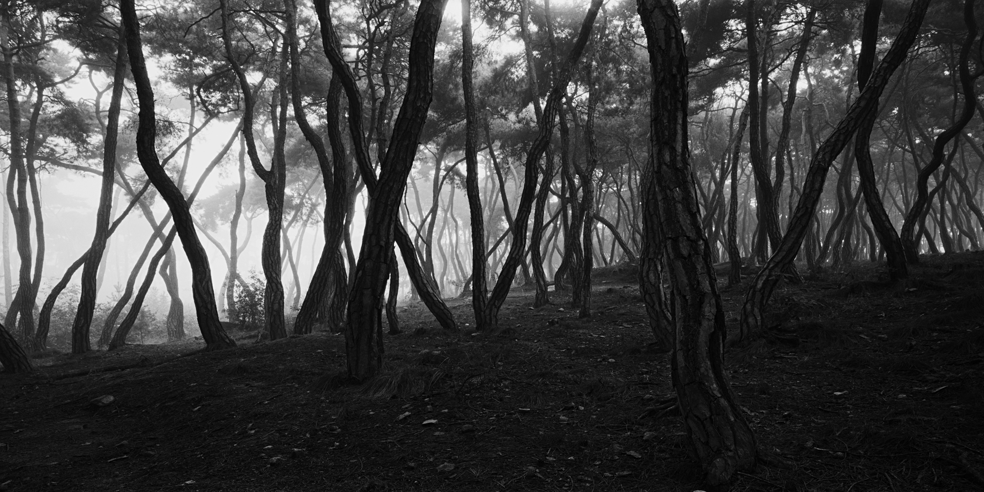 SNM1A-142H_5104292_150208