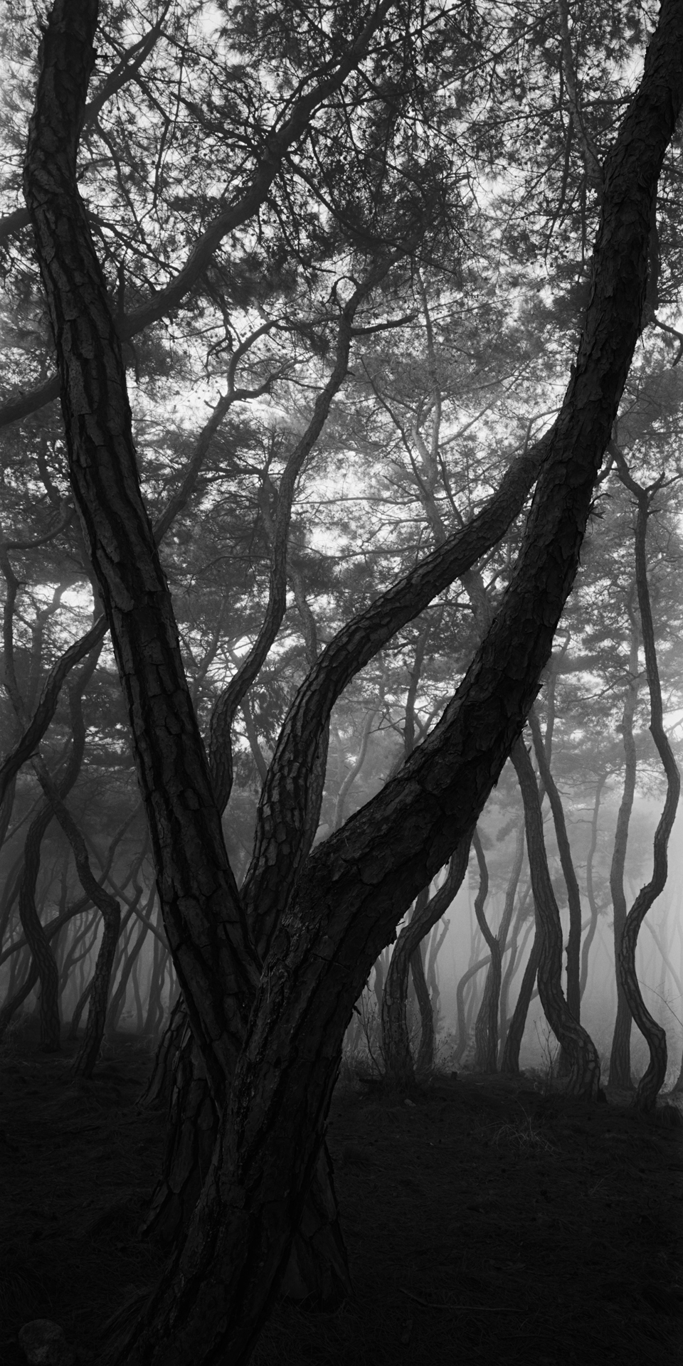 SNM1A-143V_5104292_150208