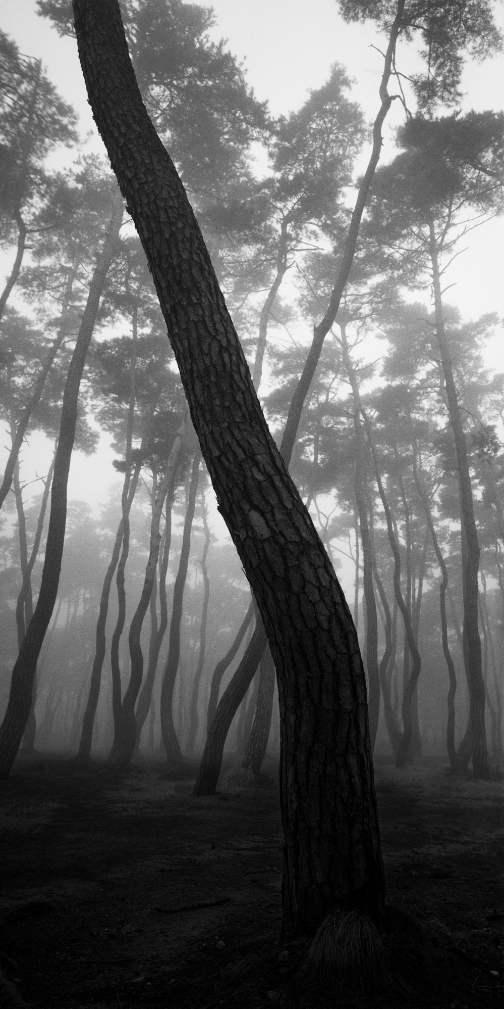 SNM1A-144V_5104292_210208