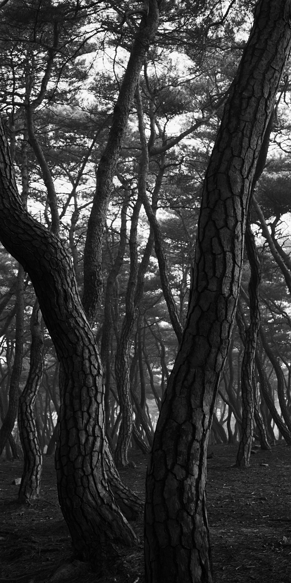 SNM1A-148V_5104292_150208