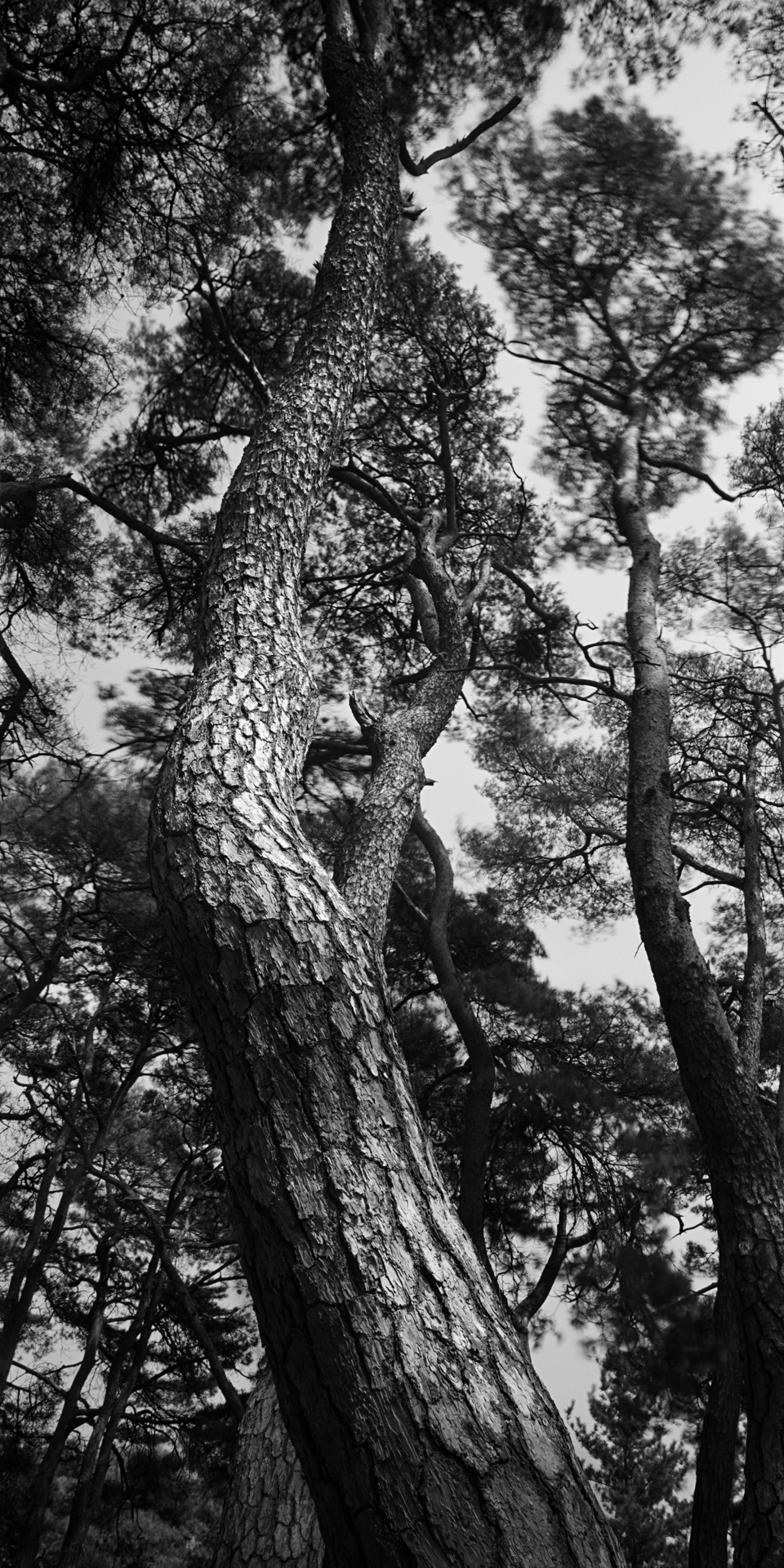 SNM1A-149V_5104292_210208