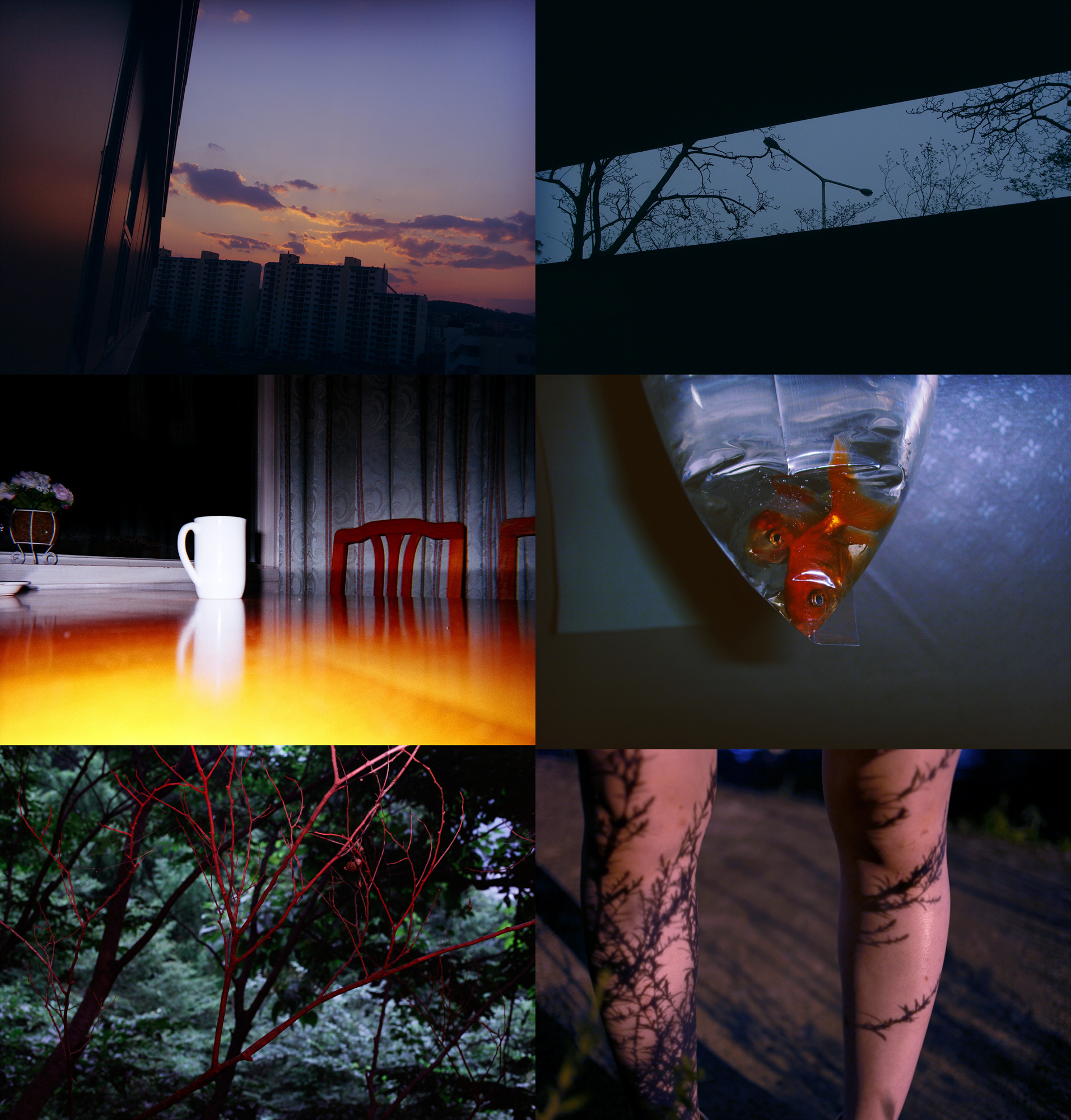 The Other Side, 2011 1-7