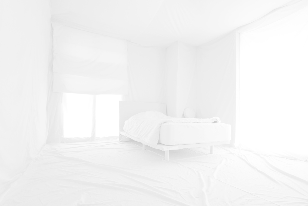 XO Pale White 07s_2009_83 125cm_inkjet print