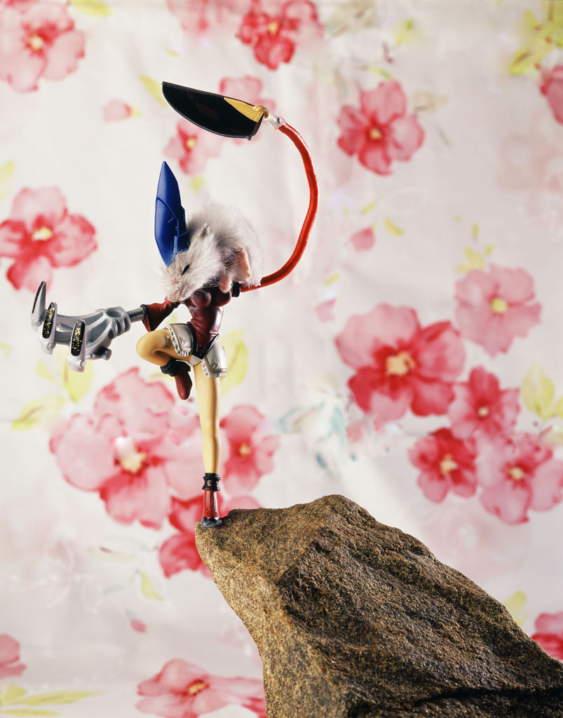 freaky evolution #10_람다프린트_160×120cm_2009