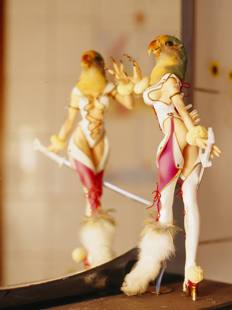 freaky evolution #1_람다프린트_160×120cm_2008