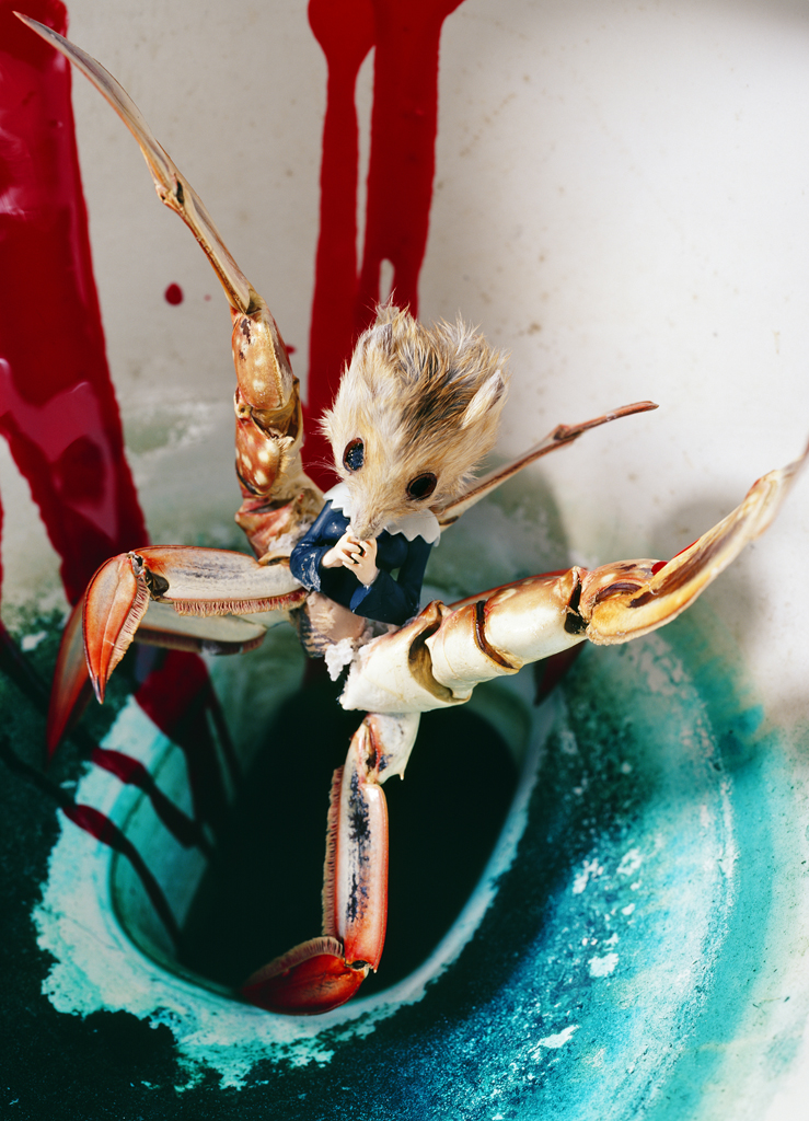 freaky evolution #2_람다프린트_160×120cm_2008