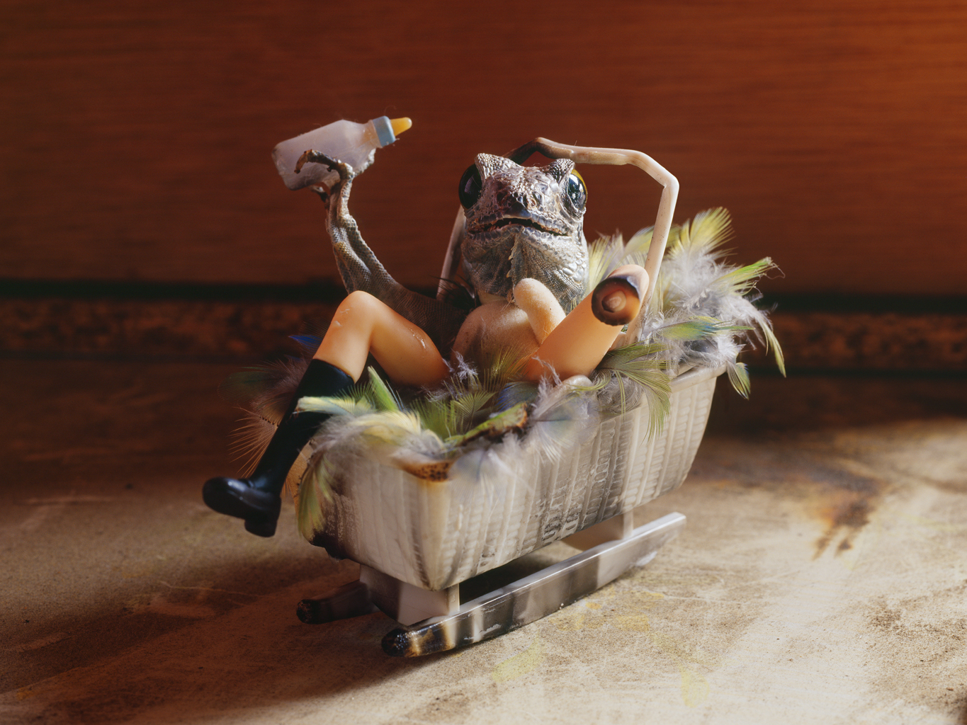 freaky evolution #3_람다프린트_160×120cm_2008