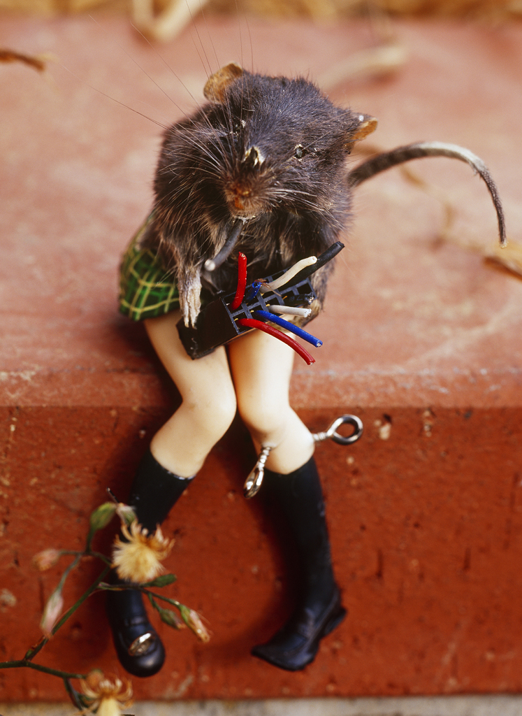 freaky evolution #4_람다프린트_160×120cm_2008